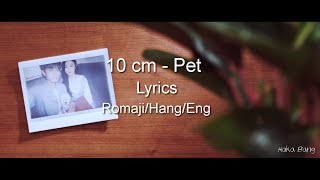 10 cm - Pet Lyrics (Rom/Hang/Eng)