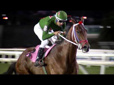 221202 c08 FIN DE FIESTA (ARG)