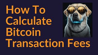 How To Calculate Bitcoin Transaction Fees (Important)