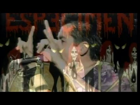 Espécimen - Punks En Combate (En vivo desde Tijuana)