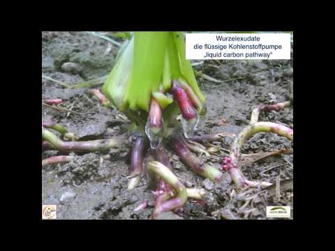 5 Schritte zur regenerativen Landwirtschaft