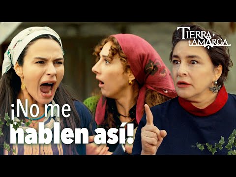 Behice and Saniye are fighting - Chapter 259