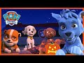 PAW Patrol Halloween Best Spooky Rescue Episodes PAW Patrol Cartoons For Kids Compilation