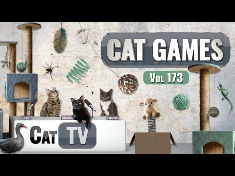 CAT Games | Ultimate Cat TV Compilation Vol 173 | 8 HOURS  🐝🐞🦋🦎🦜🐜🐭🧵