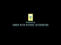 Buena Vista Pictures Distribution Walt Disney Pictures 2007