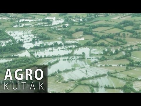 Agro Kutak 41 - Posljedice prirodnih nepogoda - Štete u poljoprivredi