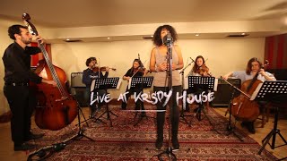 Séb &amp; Fezzi - Feeding Off The Love Of The Land 🌻 Live at Krispy House