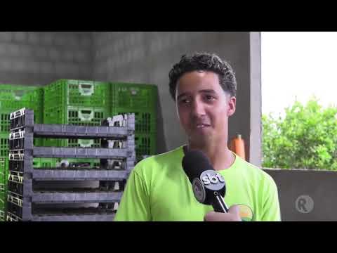 Tv Real SBT 7.1HD - Campo Verde MT 18 04 26