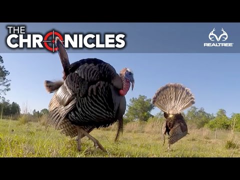 The Chronicles | Ep 2 | Turkey Decoy Tips