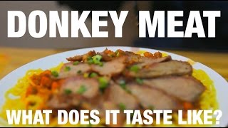 preview picture of video '外国人在丝绸之路的夜市试吃驴肉 Donkey Meat at a Silk Road Night Market'