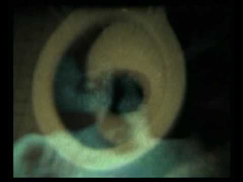 Boy Elliott & The Plastic Bags: Planeta 19 (2008) Videoclip