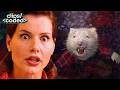 Stuart Little 1999 The Little Family S Chaotic First Day Stuart Hits The Laundry