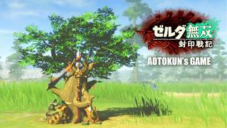 ゼルダの伝説が好きすぎる人間が初見プレイする【ゼルダ無双 封印戦記】【ゲーム実況】#last