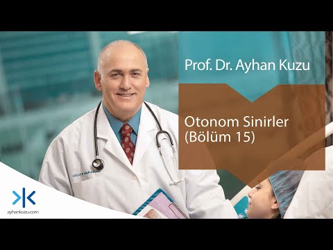 Otonom Sinirler: Bölüm 15