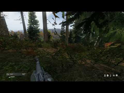 What happens when you go AFK on DayZ 1.28 EXPERIMENTAL