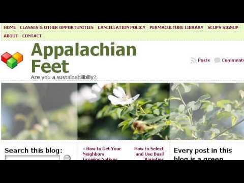 download lagu mp3 mp4 Plants That Repel Fire Ants, download lagu Plants That Repel Fire Ants gratis, unduh video klip Plants That Repel Fire Ants