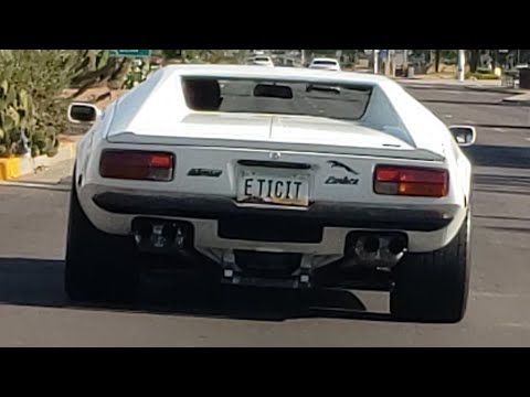 Thumbnail for A De Tomaso Pantera in the wild by De Tomaso