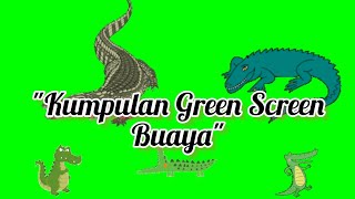 Download lagu kumpulan green screen buaya || buaya bergerak || animasi buaya#greenscreenbergerak #buaya mp3