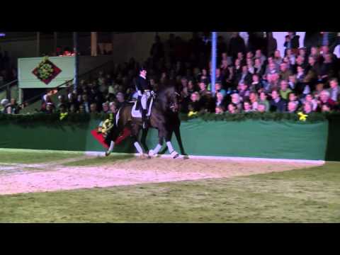 Fidertanz v. Fidermark I - Ravallo / Hengstvorführung Vechta 2014 - Böckmann Pferde