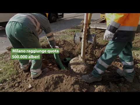 Forestami - Nuova stagione agronomica 2020