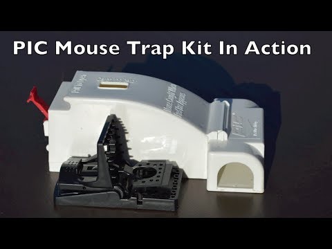 PIC Mouse Trap Kit In Action.