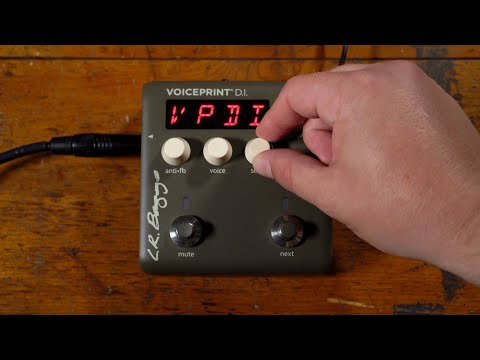 L.R. Baggs / Voiceprint DI ボイスプリントDI Amazon.com: L.R. Baggs Voiceprint DI Acoustic Guitar Impulse
