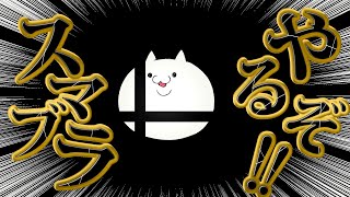 いろんげ枠  ～スマッザブラシューズなど～