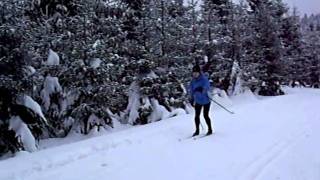 preview picture of video 'cross-country skiing in Bedrichov, Jizerske Mountains'