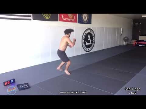 30 Minute Home HIIT  (Follow Along) Workout #7 - Jiu Jitsu FLO