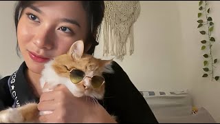 Download lagu Live Showroom Zee JKT48 - 16-5-23 mp3 Download lagu Live Showroom Zee JKT48 - 16-5-23 mp3