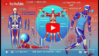 CBSE Class 11 || Biology || Locomotion and Movement || Animation || in English