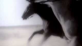 LEGS &amp; ARMS - Black and Blue