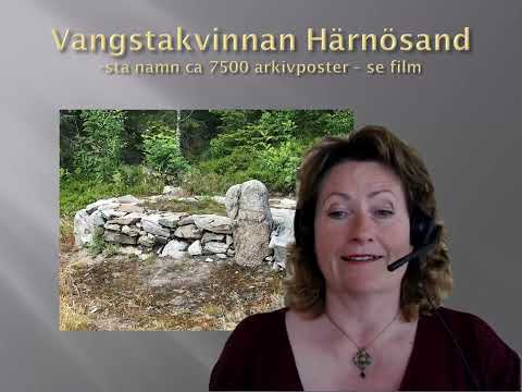 Den heliga forntida vagnen - Agneta Nyholm Sofiainstitutet