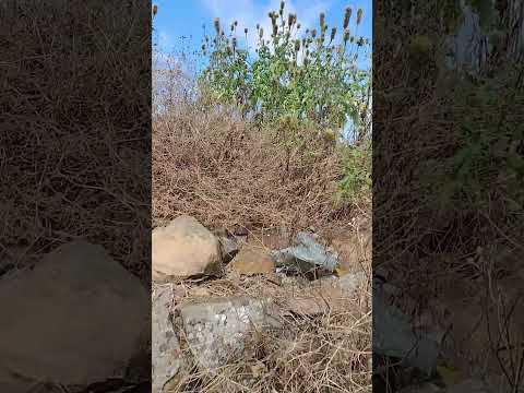 subindo o pico do Cabugi cidade de angicos RN