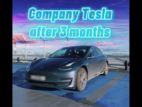 Is the Tesla Model 3 the ultimate company car?
