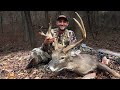 PUBLIC Land Buck! Bowhunting the Illinois RUT! #saddlehunting #bowhunting #whitetaildeer