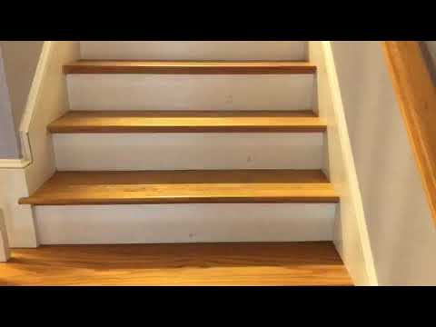 47 Alder Street #10 Waltham