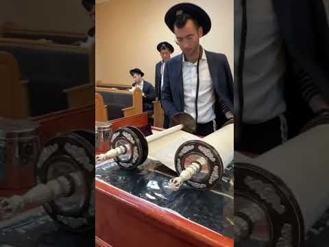 Autentyczne czytanie Żydowskiej Tory w synagodze #chasydzi #żydzi #judaizm