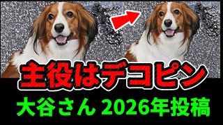 【デコピン】大谷翔平の2026年は足跡から始まった