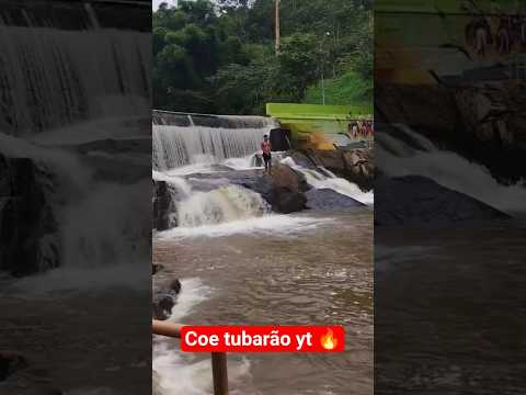 Barragem de Dom Joaquim MG Coe tubarão yt pulando de ponta🔥#domjoaquimmg#mg#cachoeira#shorts