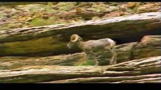 John Denver - Let This Be A Voice Part 3