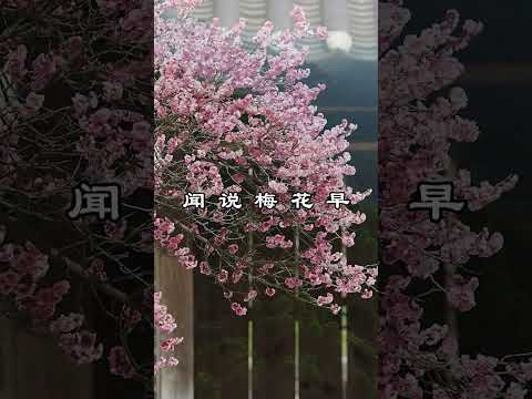 中文古典诗词：洛中访袁拾遗不遇 [唐] 孟浩然