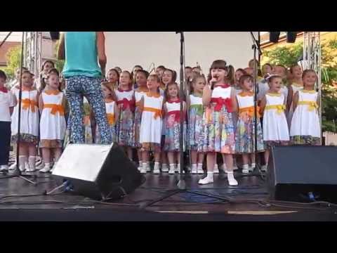 Hor Šareni Vokali - SO Leto 2014 - ŽALBA (Nina Kovač)