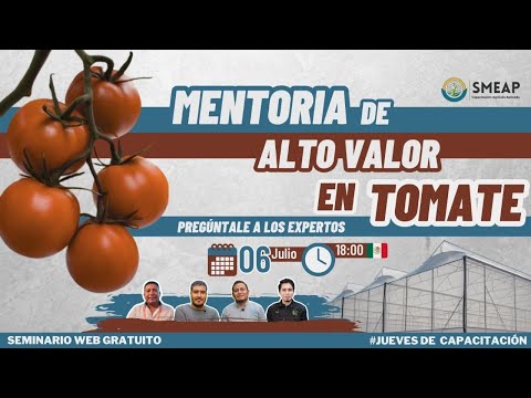 , title : 'Mentoría de Alto Valor en Tomate'