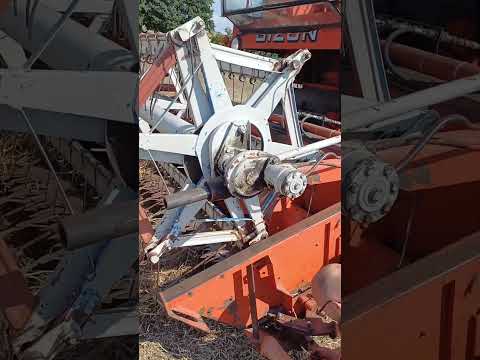 żniwa 2025 koszenie grochu