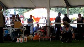 NV Mladá Boleslav WCC 24 8 2013