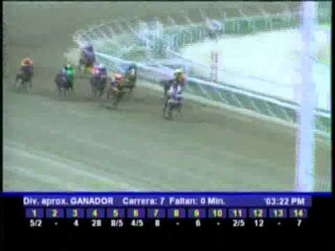 Resumen, Domingo 11 de Marzo de 2012 -La Rinconada