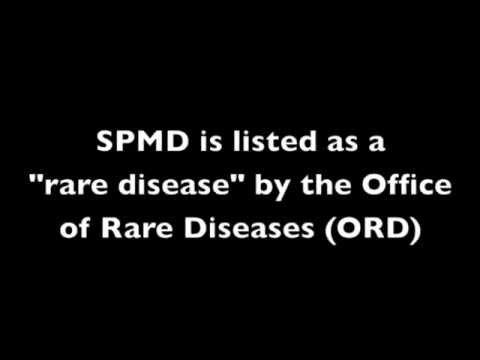 Caffarelli Family Study Research Foundation