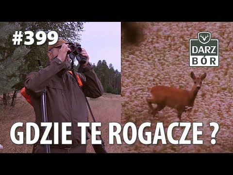 Darz Bór odc. 399 - Gdzie Te rogacze...