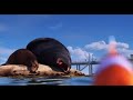 Finding Dory Marlin And Nemo Meets Sea Lions